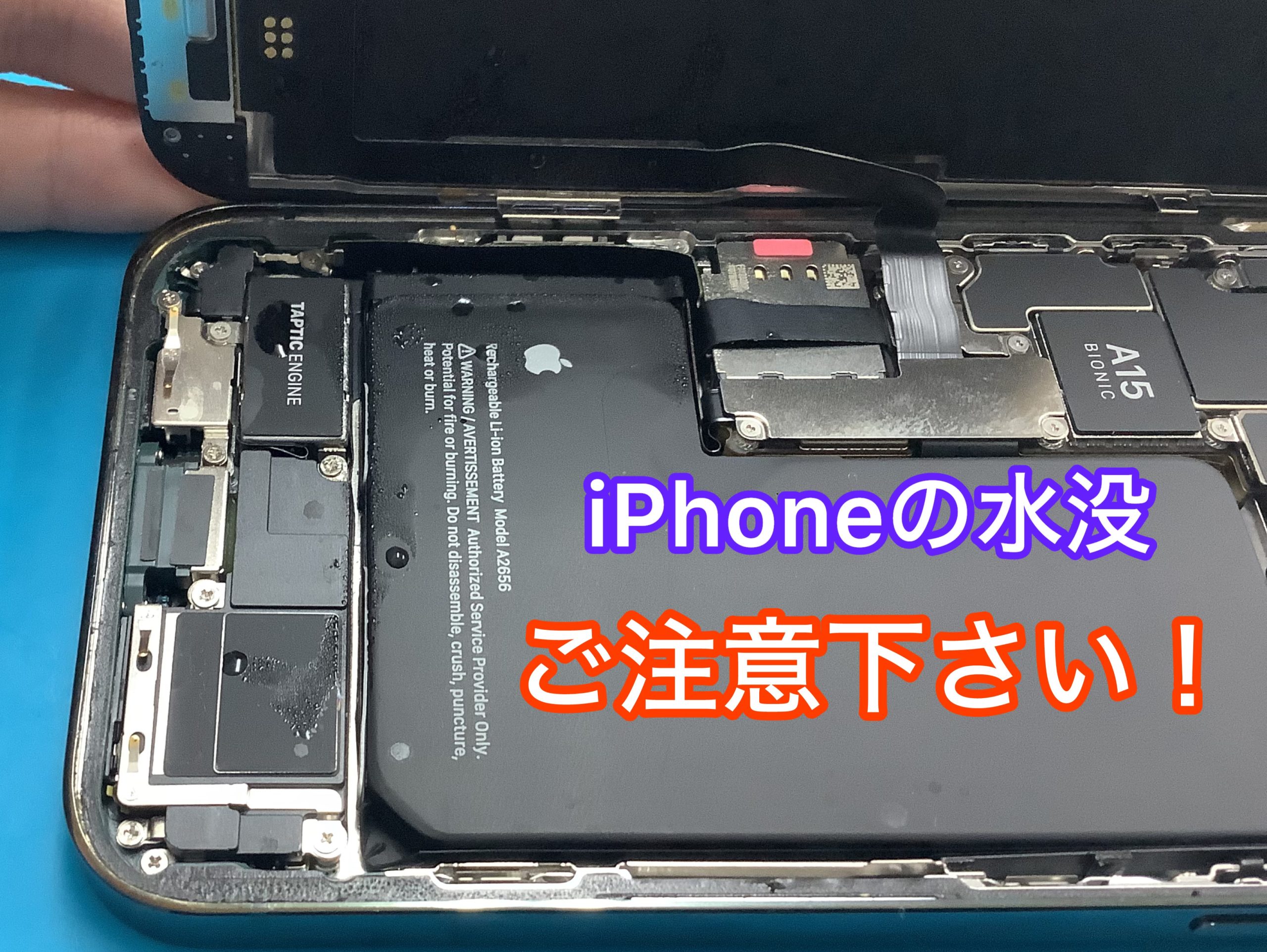 川・海・プールで水没 iPhoneの水没修理のご相談 急増中！ | スマホ